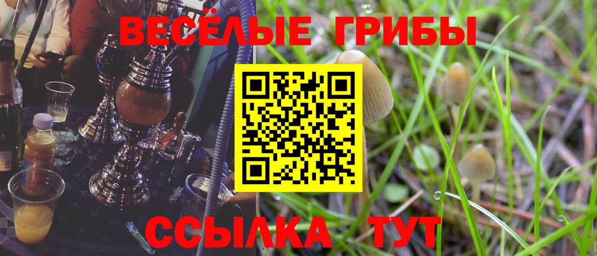 Галлюциногенные грибы Psilocybine cubensis Старая Купавна
